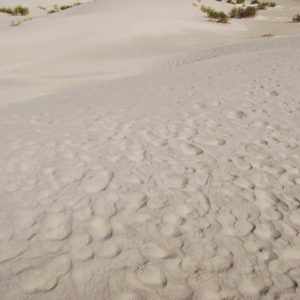 Mesquite Flat Sand Dunes - photography by Jenny SW Lee