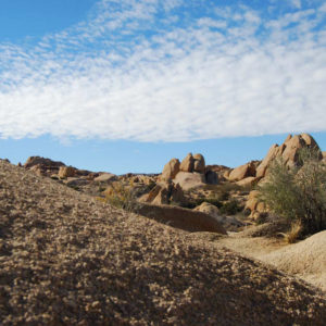 Joshua Tree National Park - photography by Jenny SW Lee