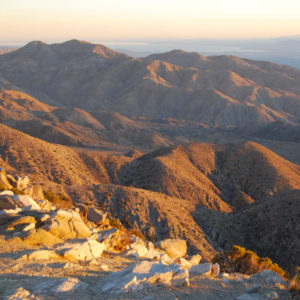 Joshua Tree National Park - photography by Jenny SW Lee