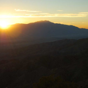 Joshua Tree National Park - photography by Jenny SW Lee