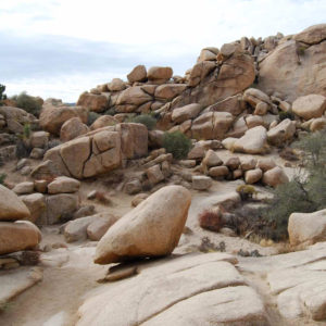 Joshua Tree National Park - photography by Jenny SW Lee