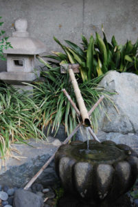 James Irvine Japanese Garden - photography by Jenny SW Lee