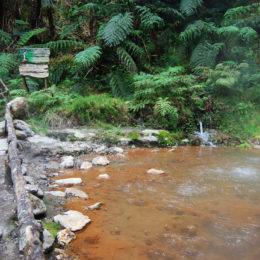 Caldeira Velha. Orange color is from the iron mineral in the water.