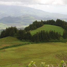 Sao Miguel, Azores Portugal - photography by Jenny SW Lee