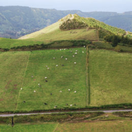 Sao Miguel, Azores Portugal - photography by Jenny SW Lee