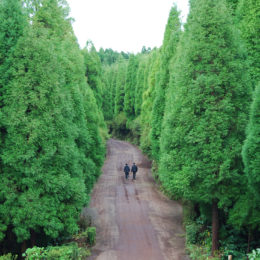 Sete Cidades