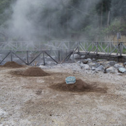 This is where they cook cozido das Furnas. The restaurant Miroma, where we dined, had their underground oven reserved.