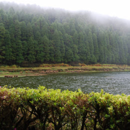 Lagoa das Empadadas