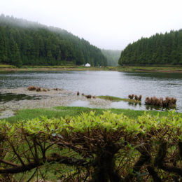 Lagoa das Empadadas