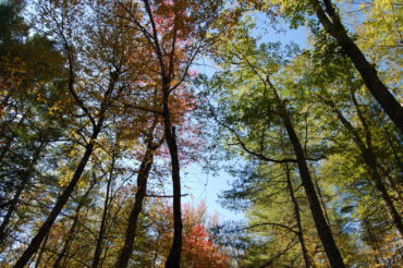 Purgatory Chasm State Reservation - photography by Jenny SW Lee