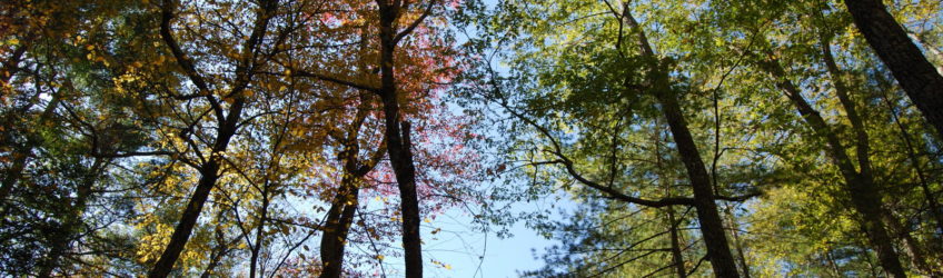 Purgatory Chasm State Reservation - photography by Jenny SW Lee