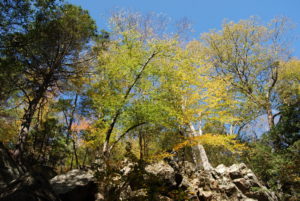 Purgatory Chasm State Reservation - photography by Jenny SW Lee