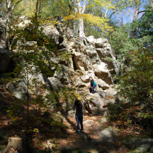 Purgatory Chasm State Reservation - photography by Jenny SW Lee