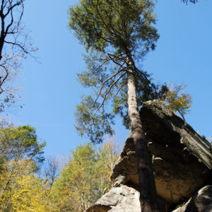 Purgatory Chasm State Reservation - photography by Jenny SW Lee