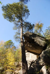 Purgatory Chasm State Reservation - photography by Jenny SW Lee