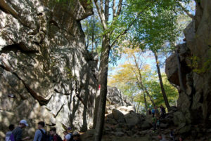 Purgatory Chasm State Reservation - photography by Jenny SW Lee