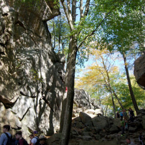 Purgatory Chasm State Reservation - photography by Jenny SW Lee