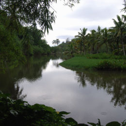 Allerton Garden in Koloa