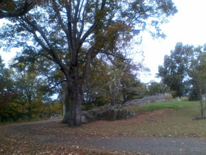deCordova Museum and Sculpture Park | Jenny SW Lee Photography