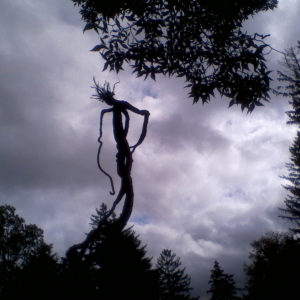 Venusvine