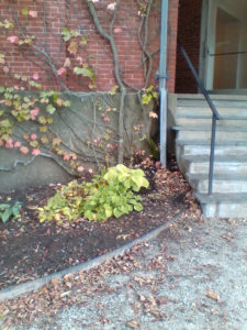 DeCordova Museum and Sculpture Park | Jenny SW Lee Photography