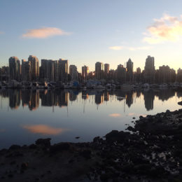 Stanley Park area