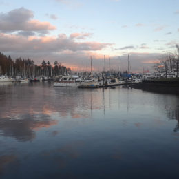 Stanley Park area