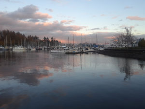 Stanley Park, Vancouver BC | Photography by Jenny S.W. Lee