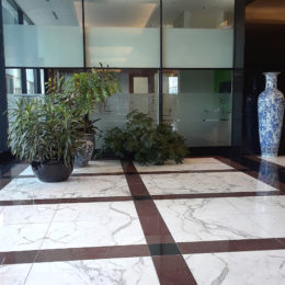 Consulate General of Japan