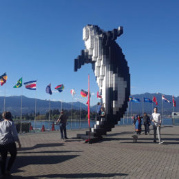 Digital Orca sculpture at the waterfront the day before the Vancouver Marathon