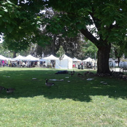 African Descent Festival in Vancouver
