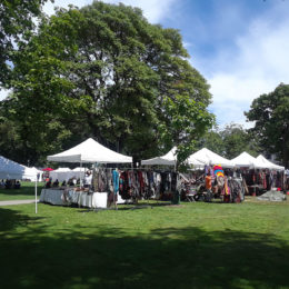 African Descent Festival in Vancouver