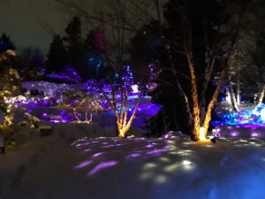 VanDusen Festival of Lights | Jenny S.W. Lee Photography
