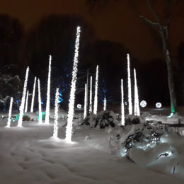 VanDusen Festival of Lights | Jenny S.W. Lee Photography