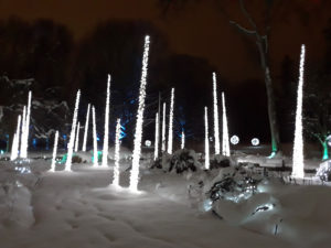 VanDusen Festival of Lights | Jenny S.W. Lee Photography