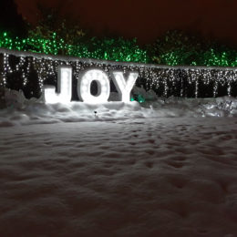 VanDusen Festival of Lights | Jenny S.W. Lee Photography