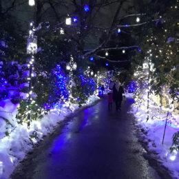 VanDusen Festival of Lights | Jenny S.W. Lee Photography