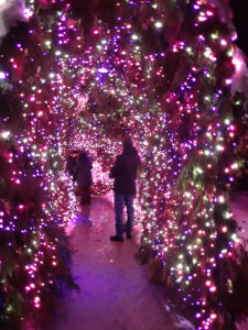 VanDusen Festival of Lights | Jenny S.W. Lee Photography