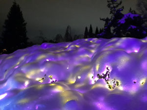 VanDusen Festival of Lights | Jenny S.W. Lee Photography