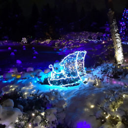 VanDusen Festival of Lights | Jenny S.W. Lee Photography