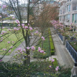 Spring April