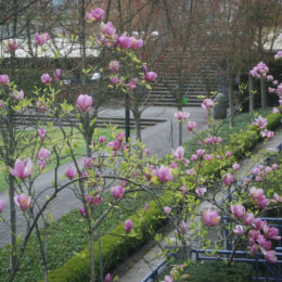 Spring April