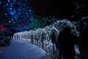 VanDusen Festival of Lights | Jenny S.W. Lee Photography