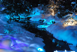 VanDusen Festival of Lights | Jenny S.W. Lee Photography