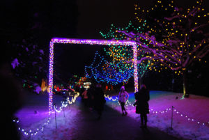 VanDusen Festival of Lights | Jenny S.W. Lee Photography