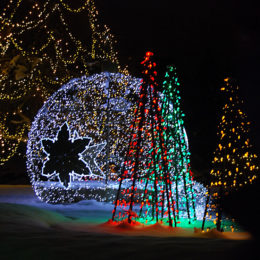VanDusen Festival of Lights | Jenny S.W. Lee Photography