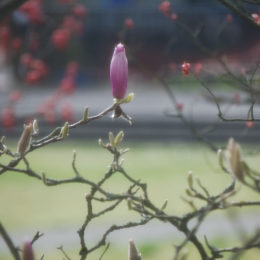 Spring March