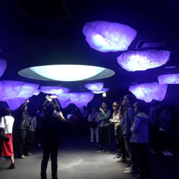 Osaka Aquarium Kaiyukan | Jenny S.W. Lee