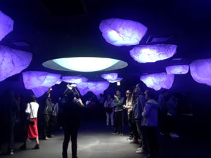 Osaka Aquarium Kaiyukan | Jenny S.W. Lee