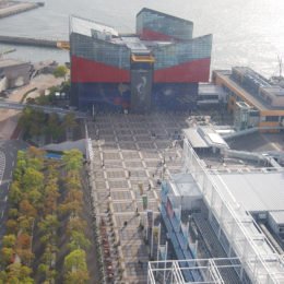Osaka Aquarium Kaiyukan | Jenny S.W. Lee